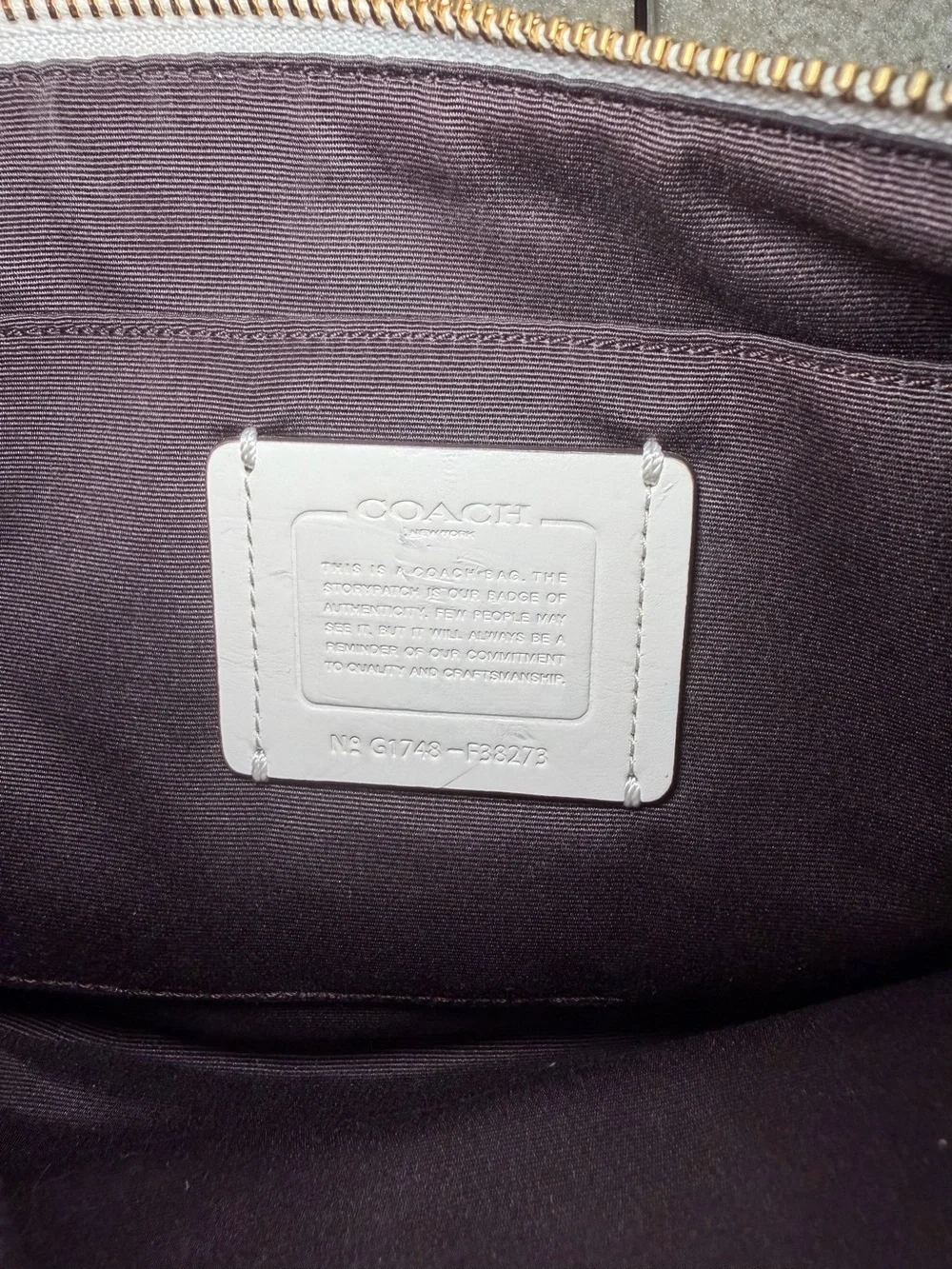 Coach Pebble Leather Lyla Crossbody Shoulder Purse Bag Clutch White F38173